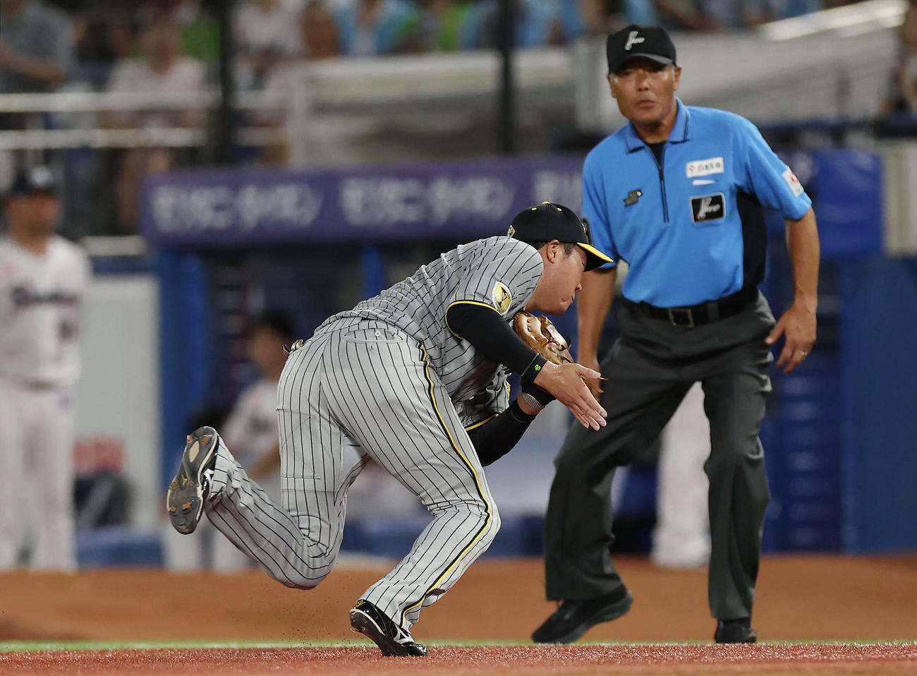 ヤクルト対阪神　4回裏ヤクルト2死、太田の一ゴロで好守を見せる大山（撮影・前田充）