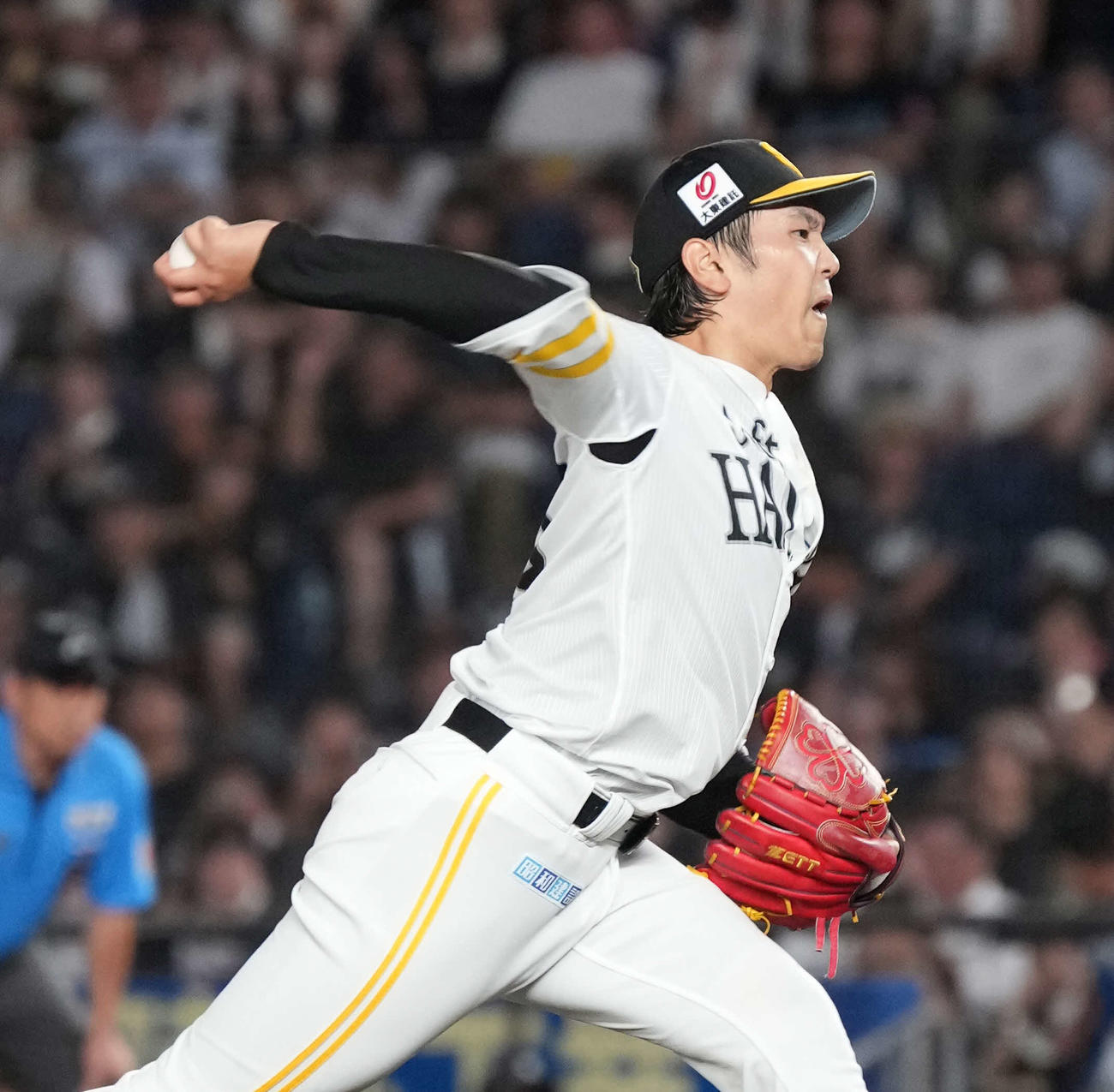 ロッテ対ソフトバンク　ソフトバンク先発の石川（撮影・小沢裕）