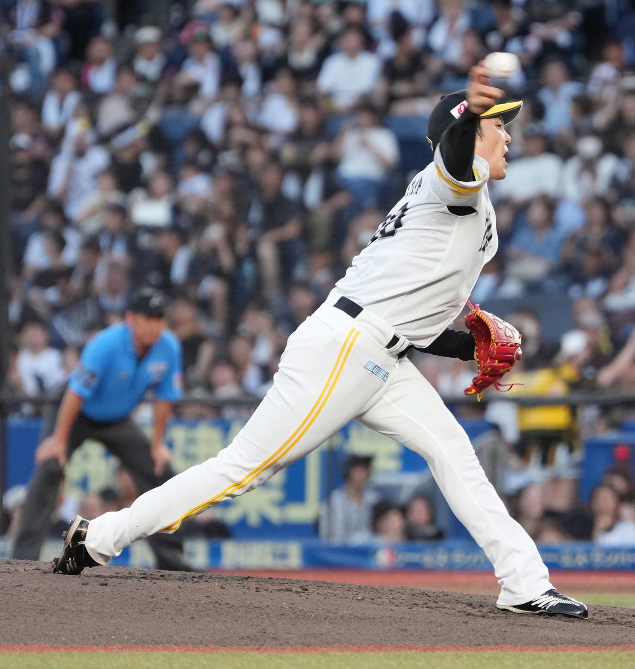 ロッテ対ソフトバンク　ソフトバンク先発の石川（撮影・小沢裕）