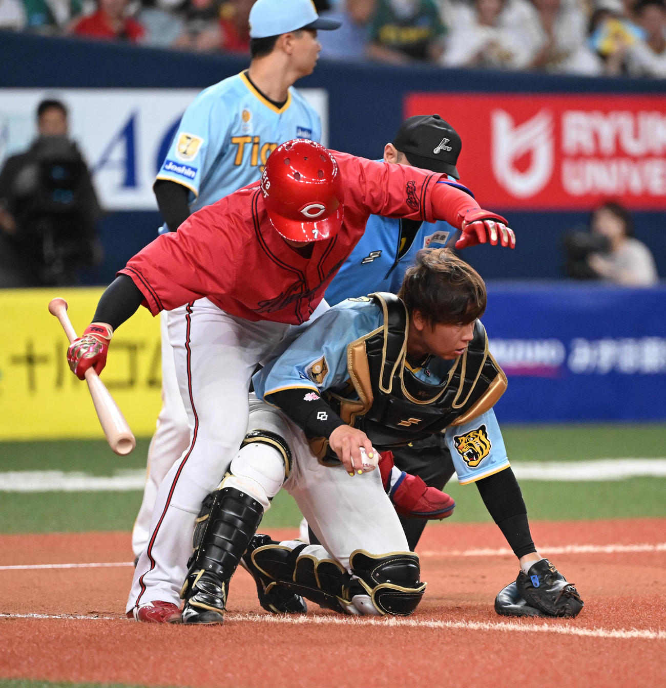 阪神対広島　8回表広島無死一、二塁、堂林の送りバントは梅野への守備妨害となる（撮影・和賀正仁）