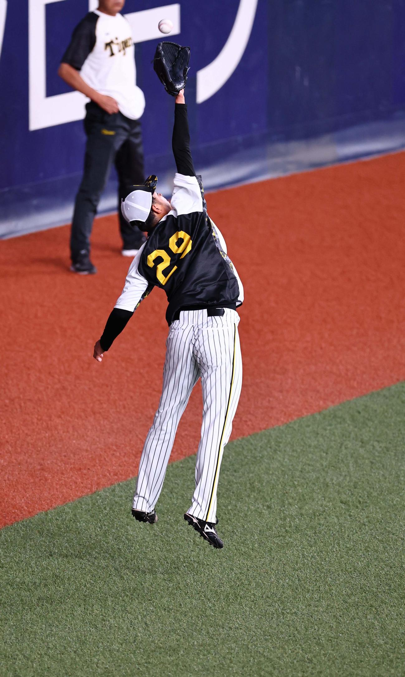 阪神対広島　キャッチボールをする高橋は高めのボールにジャンプする（撮影・上田博志）