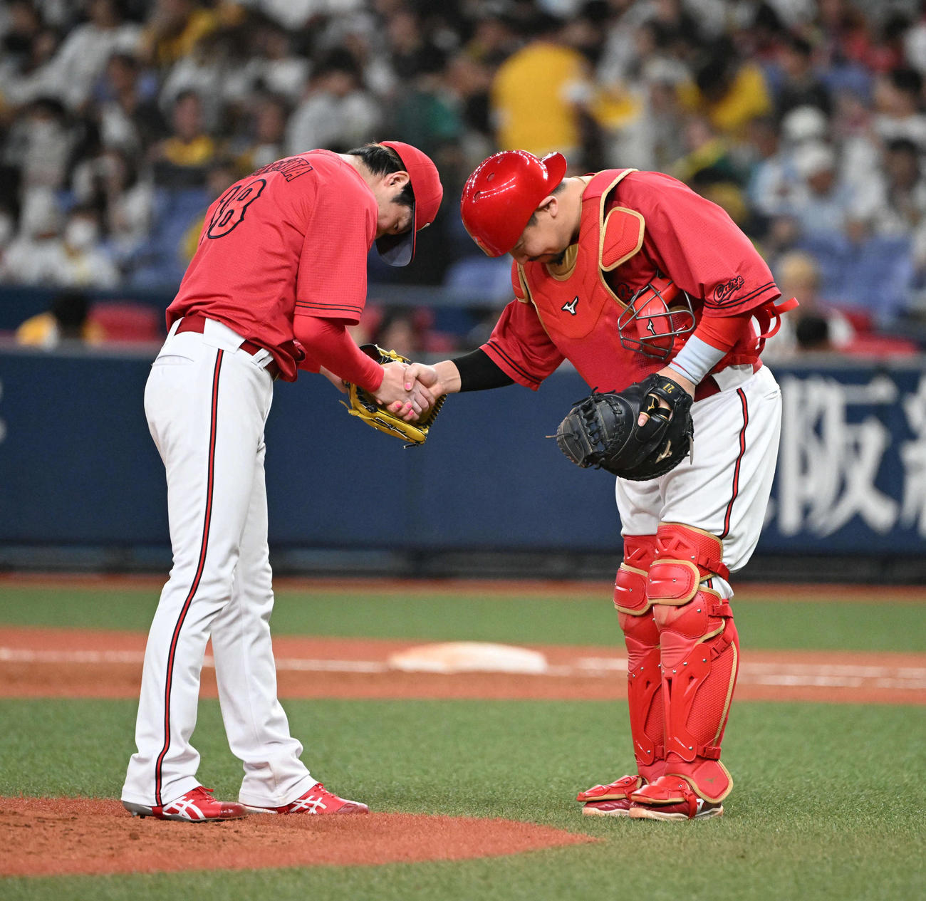 阪神対広島　1失点完投勝利を飾り捕手会沢（右）と握手を交わし礼をする広島森下（撮影・和賀正仁）