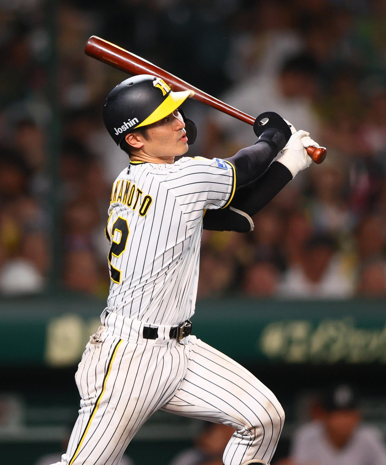 坂本誠志郎（2024年7月31日撮影）