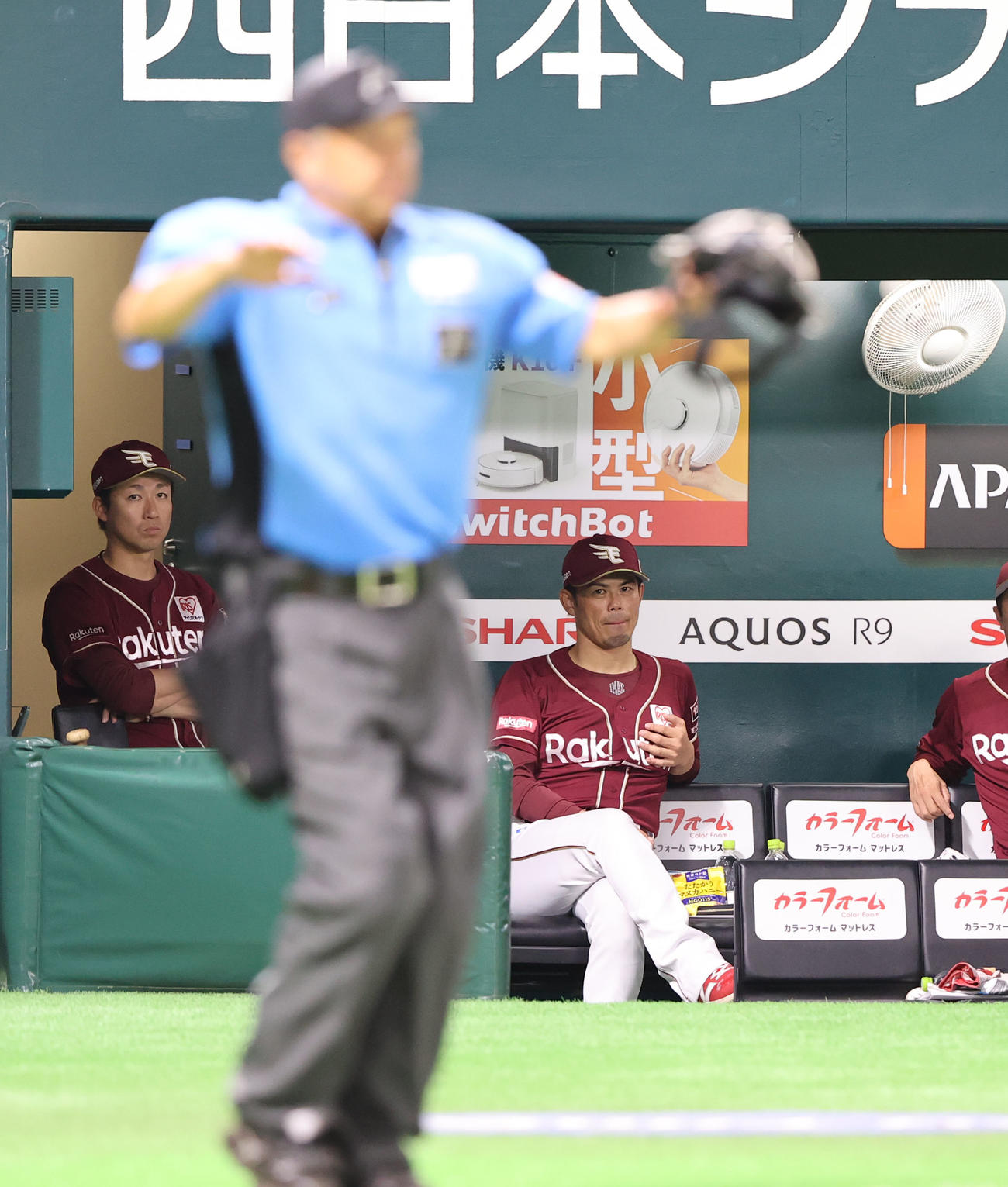 ソフトバンク対楽天　ベンチで厳しい表情の今江監督（撮影・梅根麻紀）