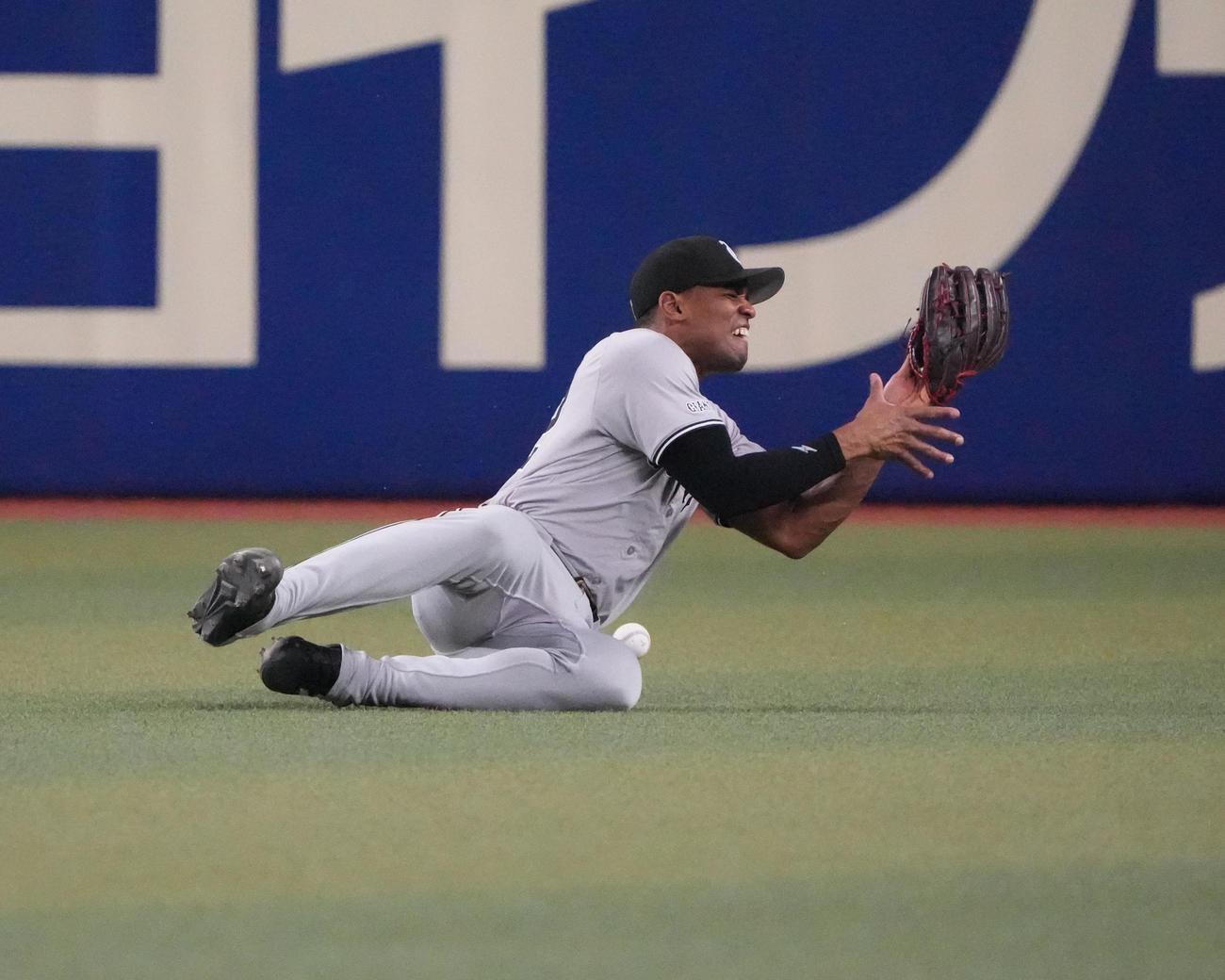 中日対巨人　5回裏中日1死、木下の打球に飛び込み負傷し悶絶するヘルナンデス（撮影・森本幸一）