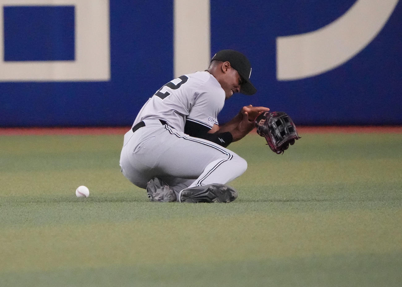 中日対巨人　5回裏中日1死、木下の打球に飛び込み負傷し悶絶するヘルナンデス（撮影・森本幸一）
