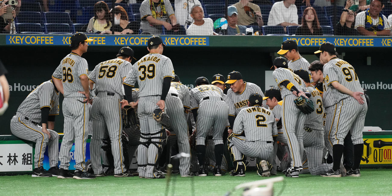 巨人対阪神　試合前、円陣を組む阪神ナイン（撮影・菅敏）