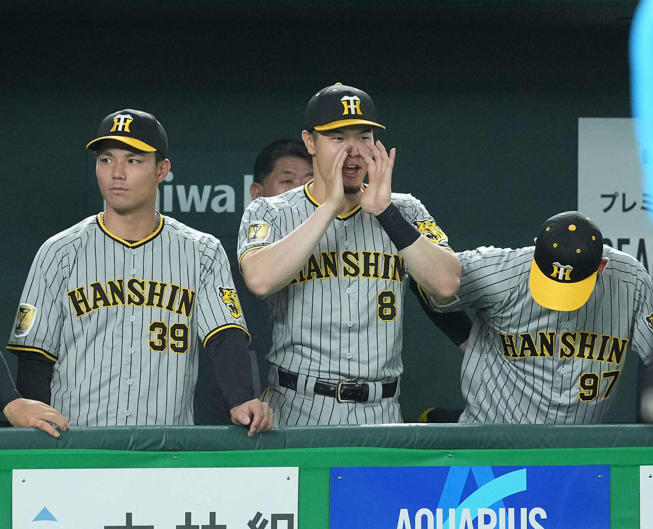 巨人対阪神　ベンチから声を出す阪神佐藤輝（撮影・たえ見朱実）