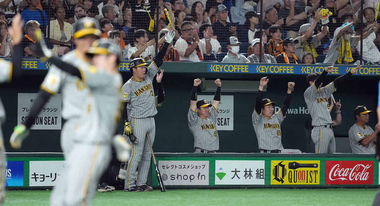 巨人対阪神　7回表阪神1死満塁、渡辺諒の3点適時二塁打に盛り上がるベンチ（撮影・たえ見朱実）