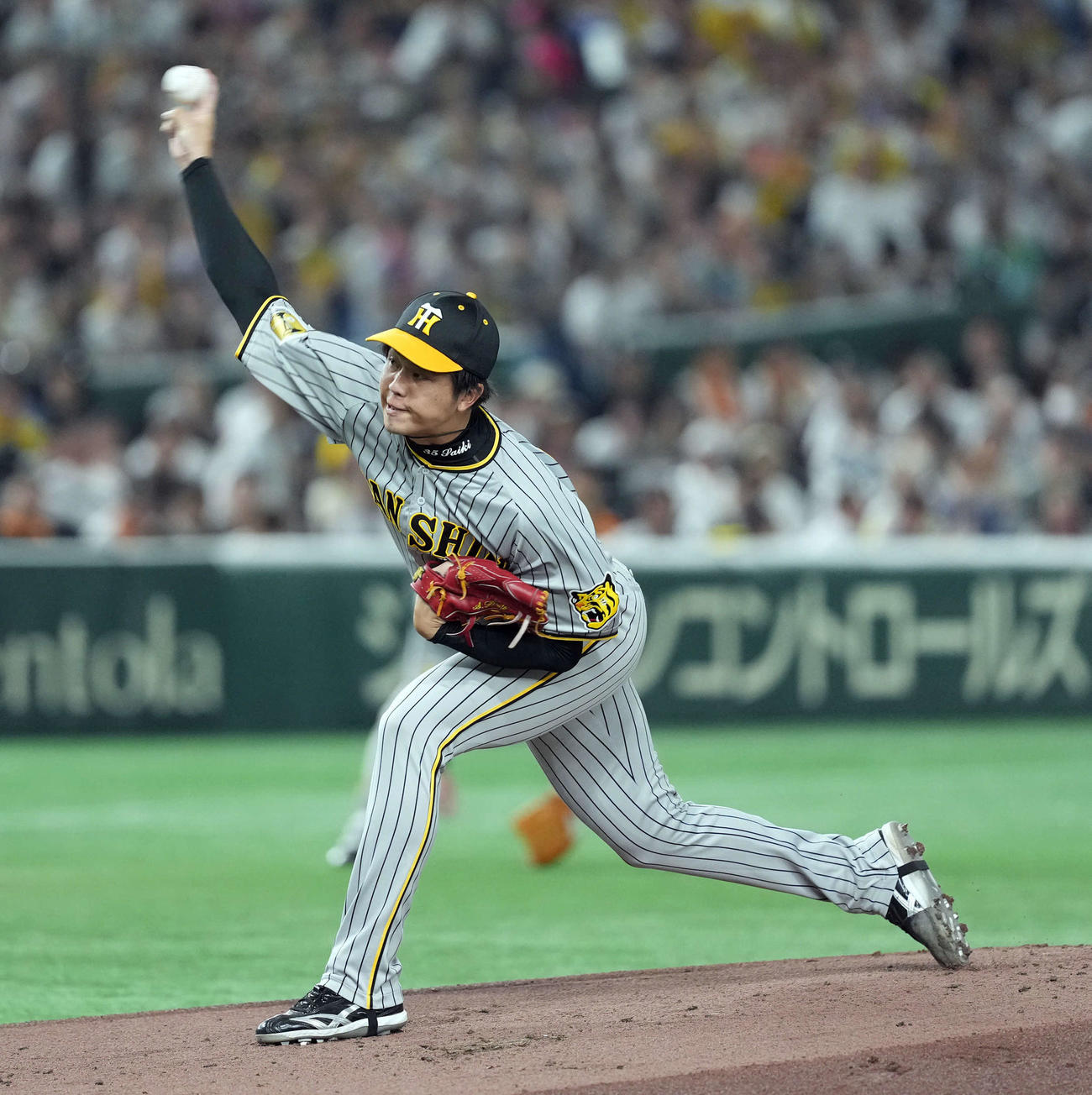 巨人対阪神　阪神の先発才木（撮影・たえ見朱実）