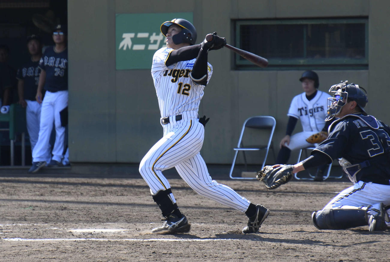 ウエスタン・リーグのオリックス戦で代打で登場した阪神坂本