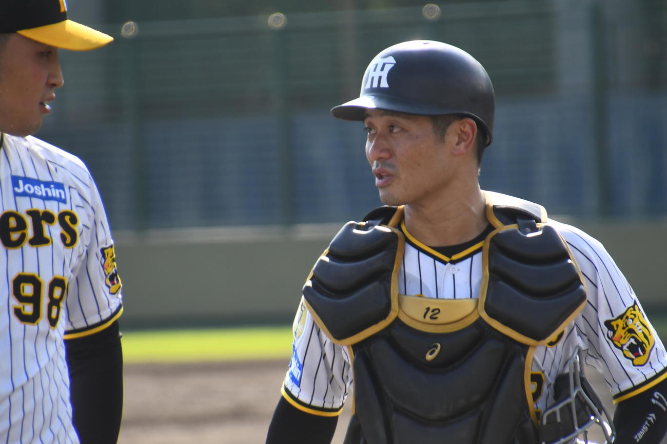 ウエスタン・リーグのオリックス戦で阪神坂本（右）は佐藤蓮と話し込む