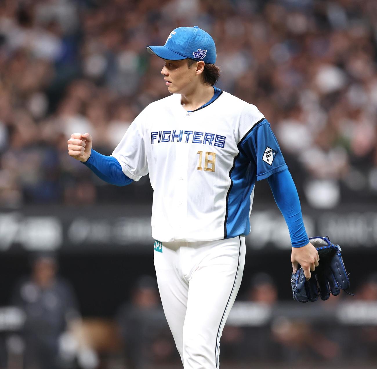 日本ハム対ロッテ　3回表、無失点に抑えガッツポーズの山崎（撮影・黒川智章）