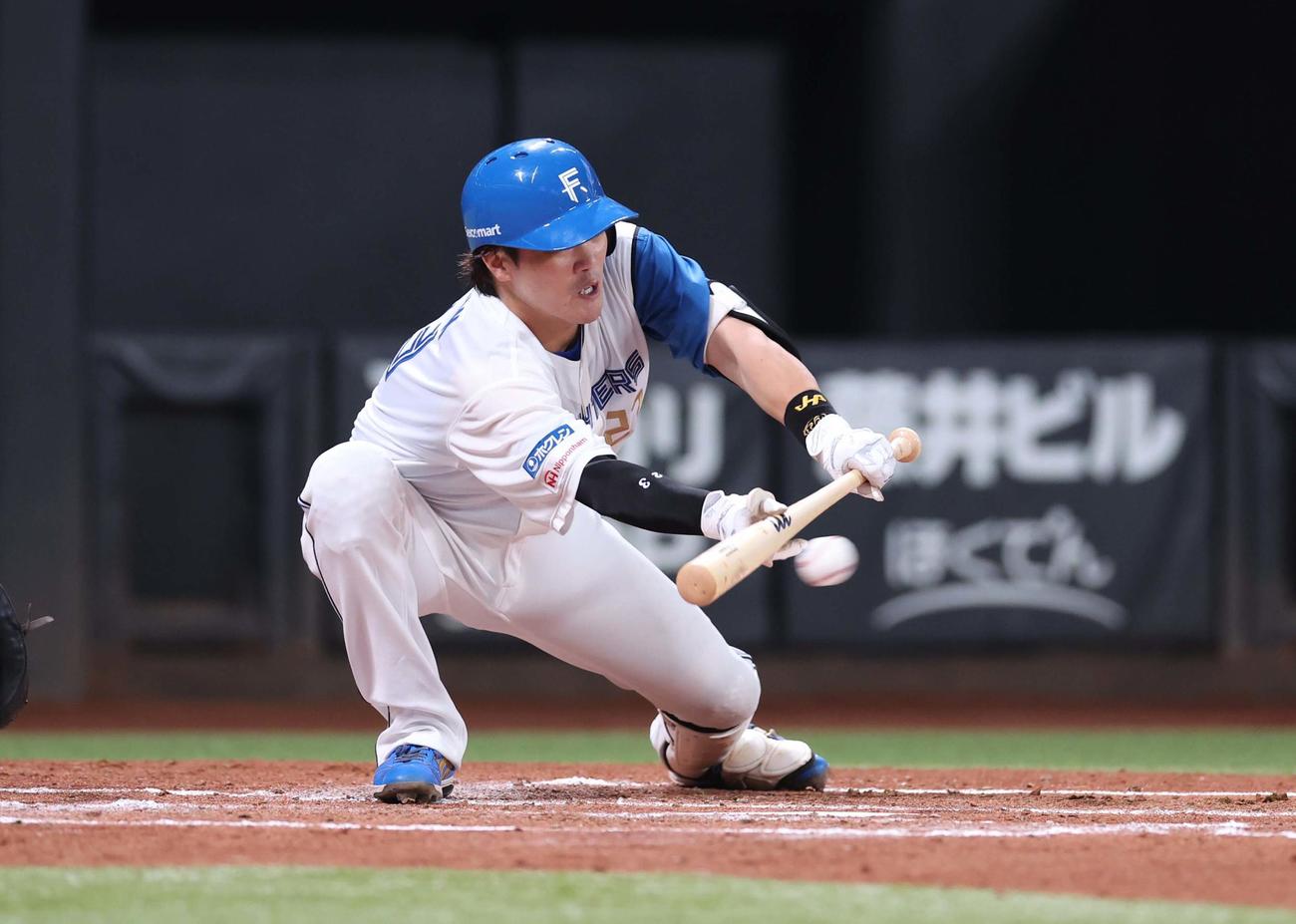 日本ハム対ロッテ　2回裏日本ハム無死二、三塁、スクイズを決める伏見（撮影・黒川智章）