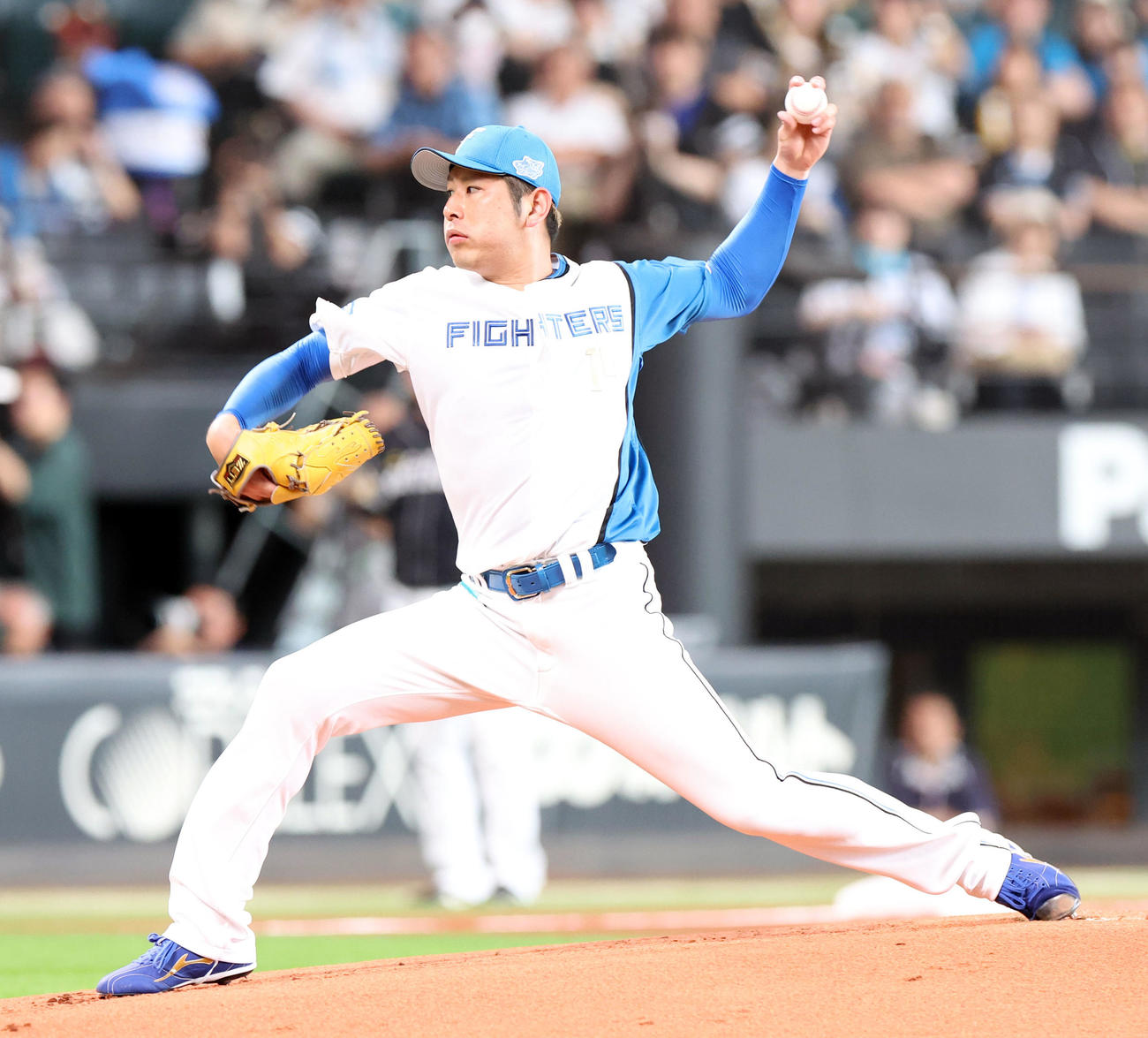 日本ハム加藤貴之（2024年6月30日撮影）