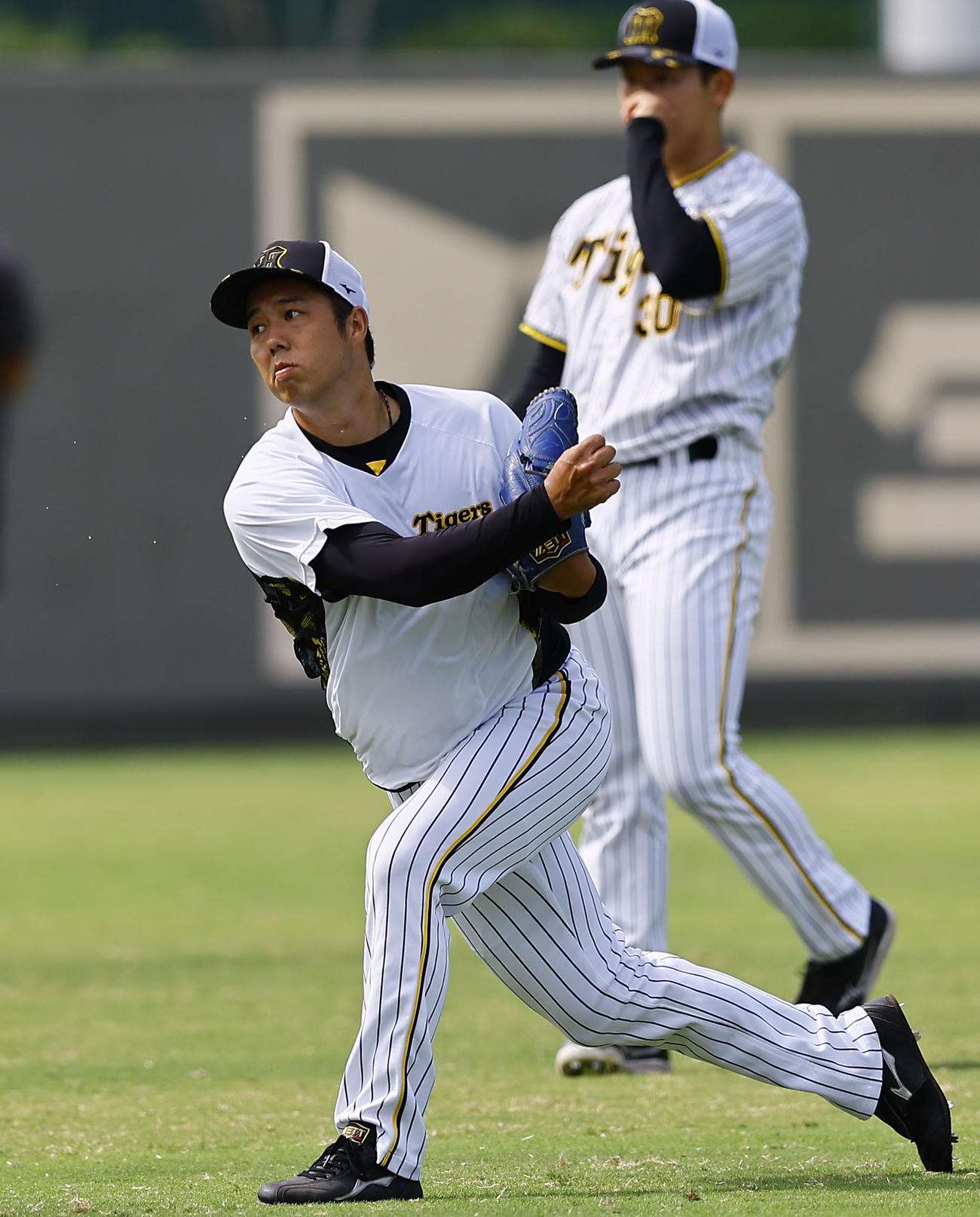 キャッチボールをする阪神青柳（撮影・藤尾明華）