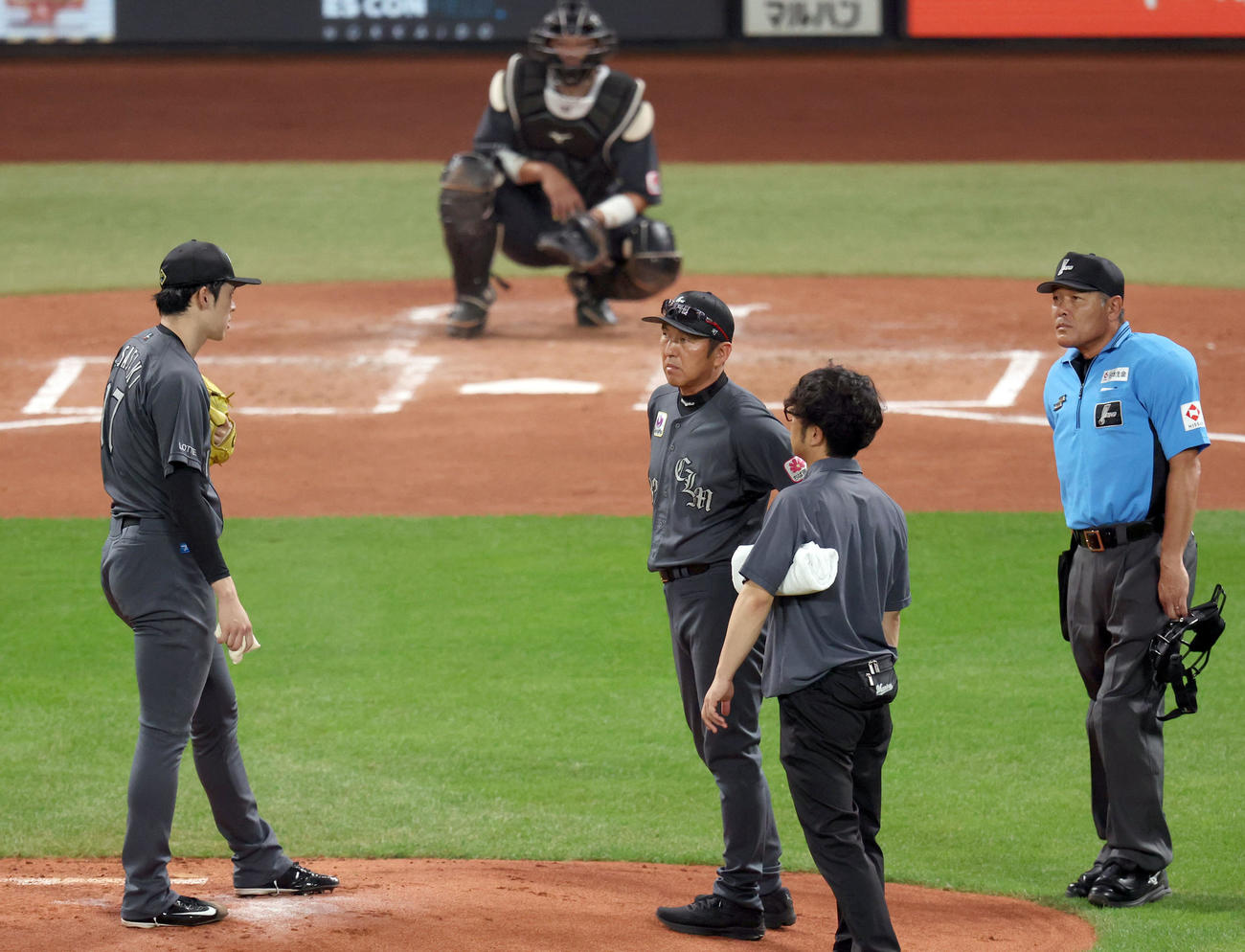 日本ハム対ロッテ　2回裏日本ハム1死、浅間の打球が当たり再度マウンドに戻るも話し合う佐々木（左）（撮影・佐藤翔太）