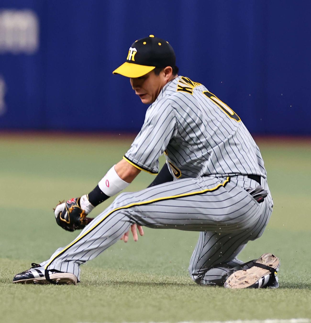 中日対阪神　4回裏中日2死、木浪は石川の遊ゴロをさばく（撮影・上田博志）