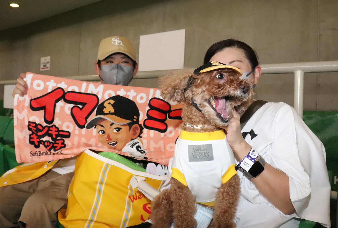 いざゆけワンワンデー！！愛犬とともに野球を楽しんだソフトバンクファン（撮影・鬼束羽瑠菜）