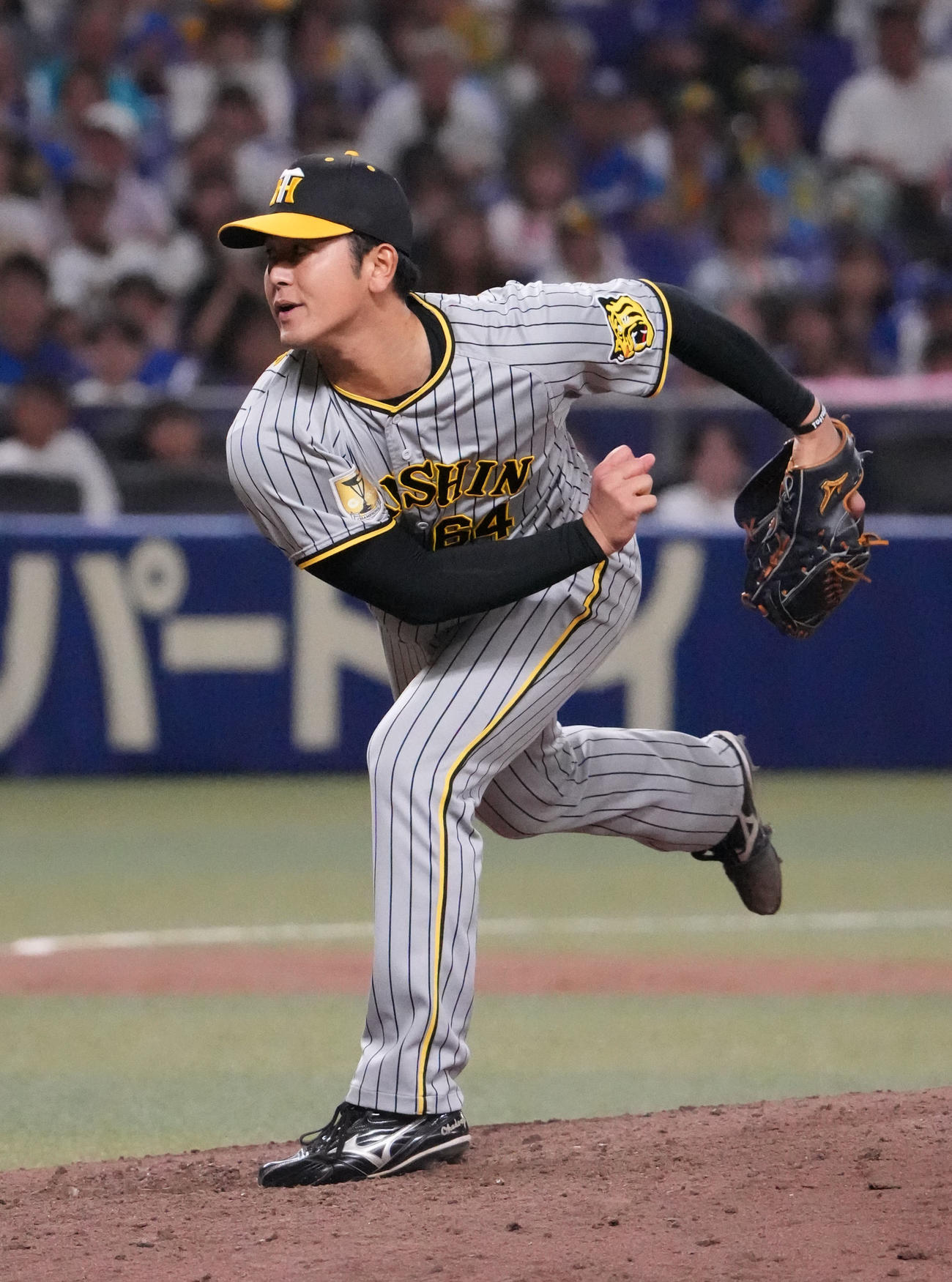中日対阪神　10回裏、阪神7番手で登板する岡留（撮影・森本幸一）