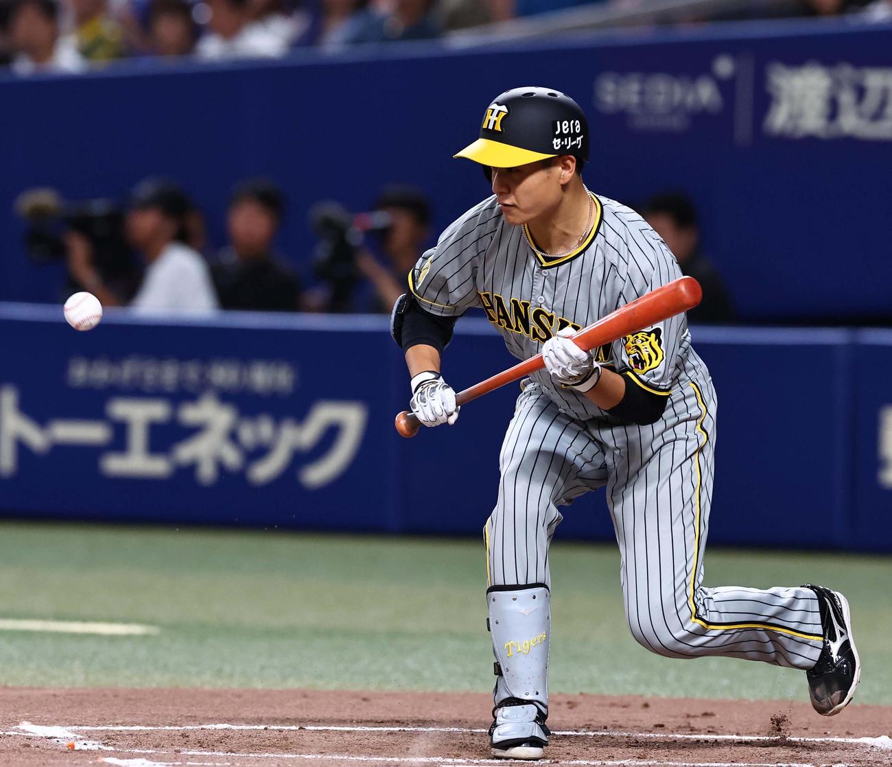 中日対阪神　3回表阪神無死一塁、大竹は送りバントを決める（撮影・上田博志）