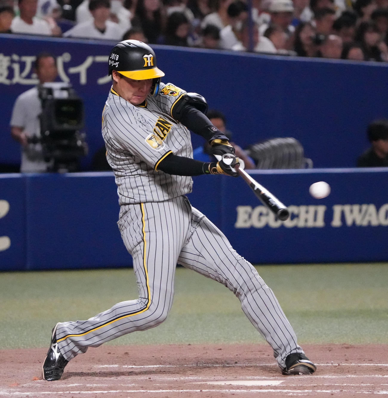 中日対阪神　8回表阪神2死、左前打を放つ大山（撮影・森本幸一）