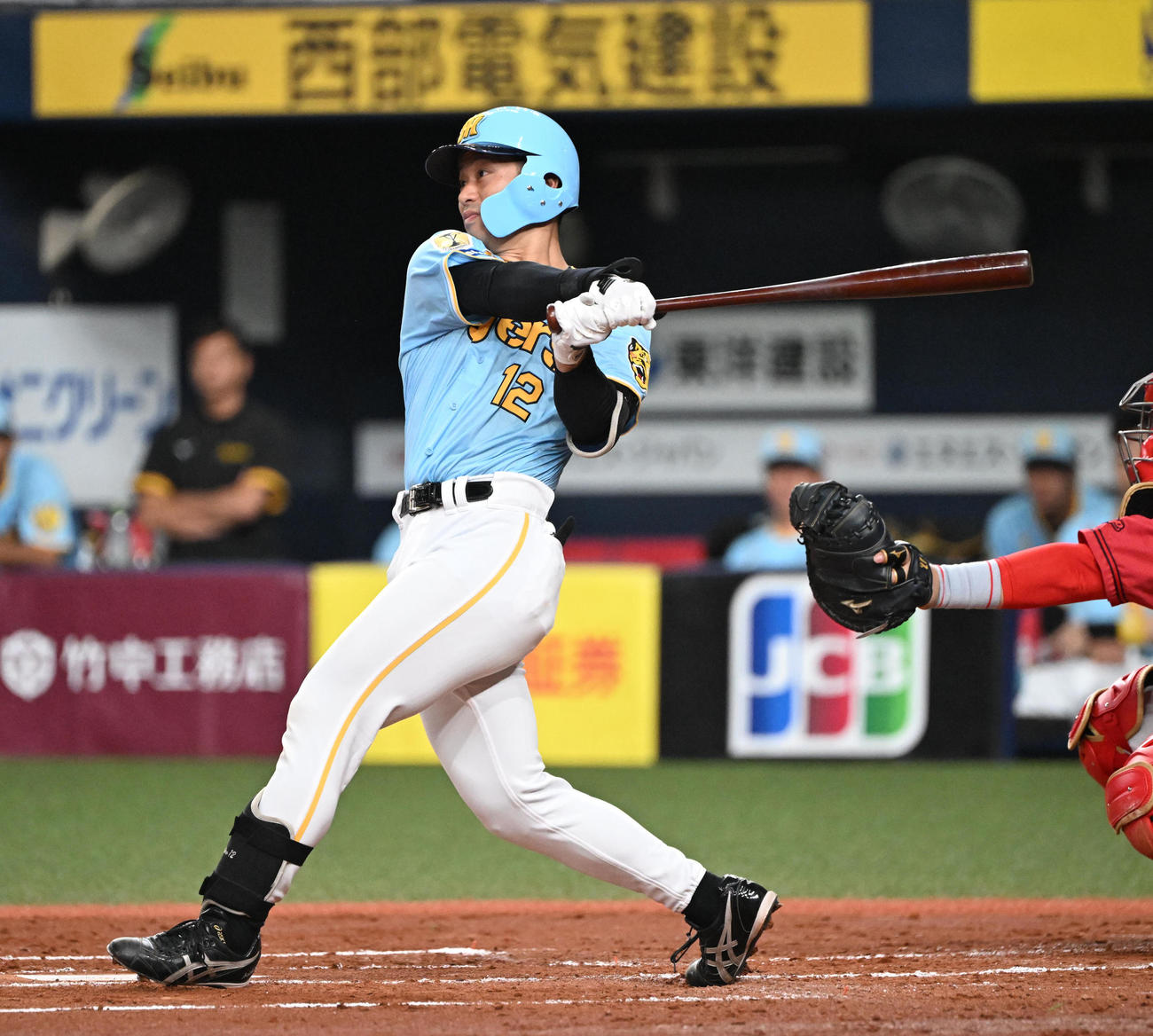 阪神坂本誠志郎（2024年8月10日撮影）