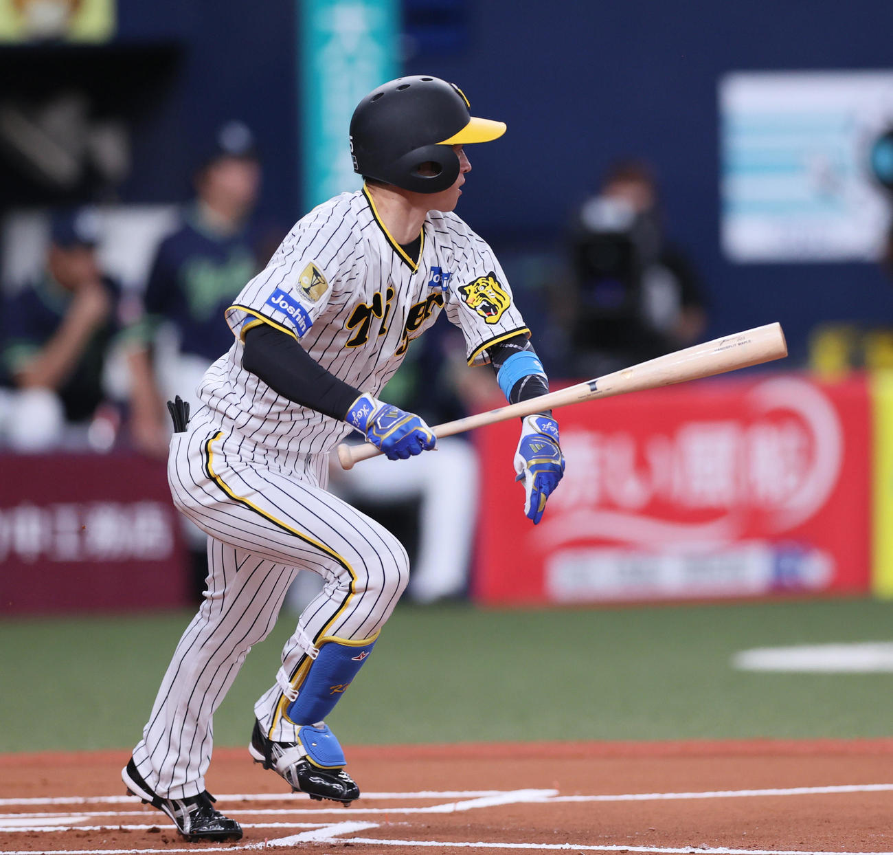 阪神対ヤクルト　1回裏阪神無死、近本は左前打を放つ（撮影・上山淳一）
