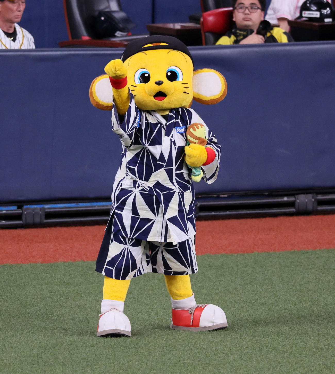 阪神対ヤクルト　キー太も浴衣姿で登場（撮影・加藤哉）