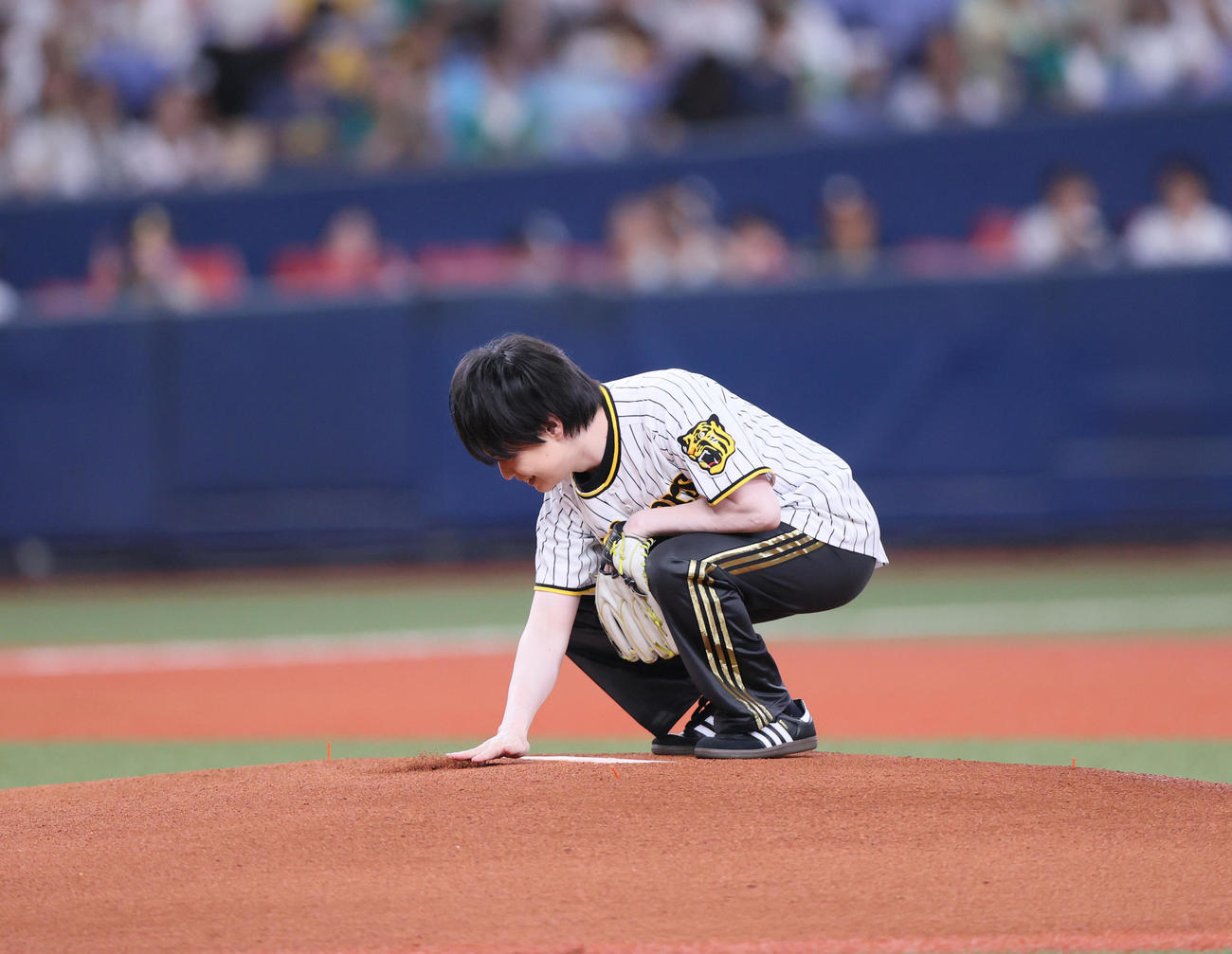 阪神対ヤクルト　試合前、ファーストピッチで投球を終えマウンドを手で整備する声優・小林裕介（撮影・上山淳一）