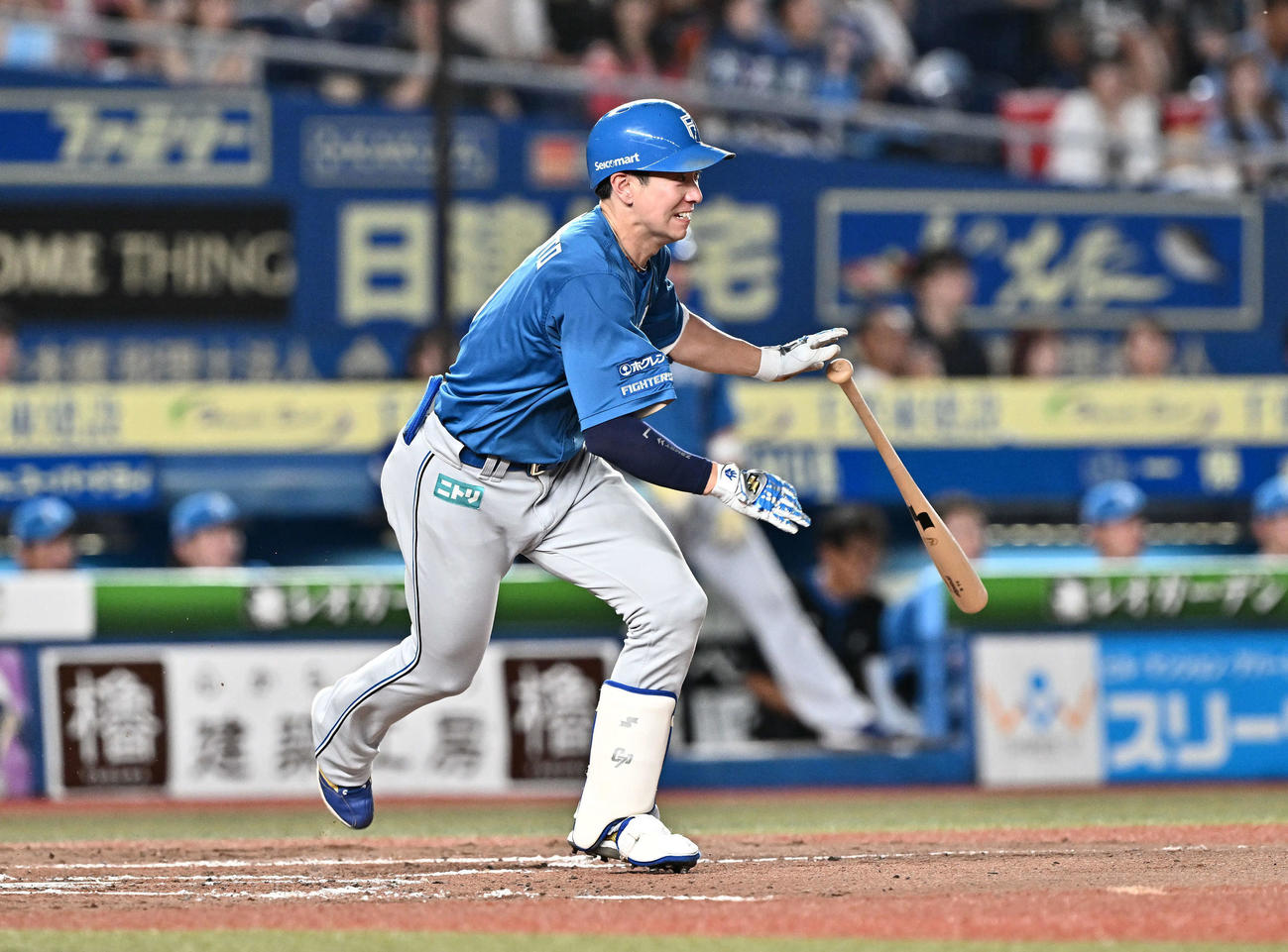 ロッテ対日本ハム　3回表日本ハム無死一塁、松本剛は中前打を放つ（撮影・滝沢徹郎）