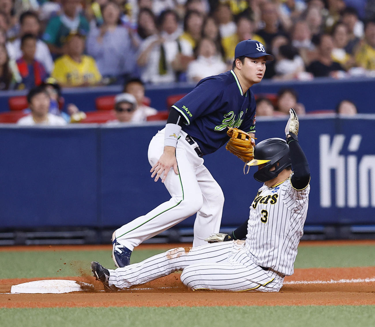 阪神対ヤクルト　6回裏阪神無死一、二塁、木浪の中ゴロで三塁アウトになる大山（撮影・藤尾明華）
