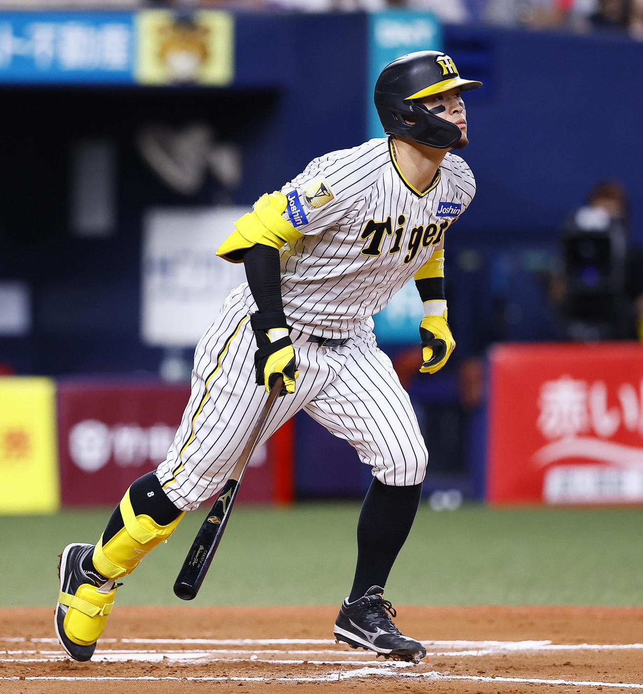 阪神対ヤクルト　6回裏阪神無死一塁、佐藤輝は右越えに2点本塁打を放つ（撮影・藤尾明華）