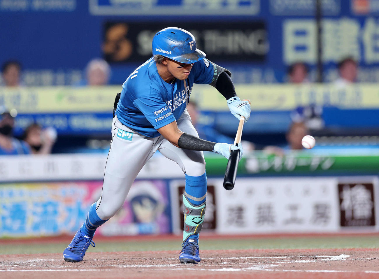 ロッテ対日本ハム　3回表日本ハム無死二塁、水谷は送りバントを決める（撮影・鈴木正人）