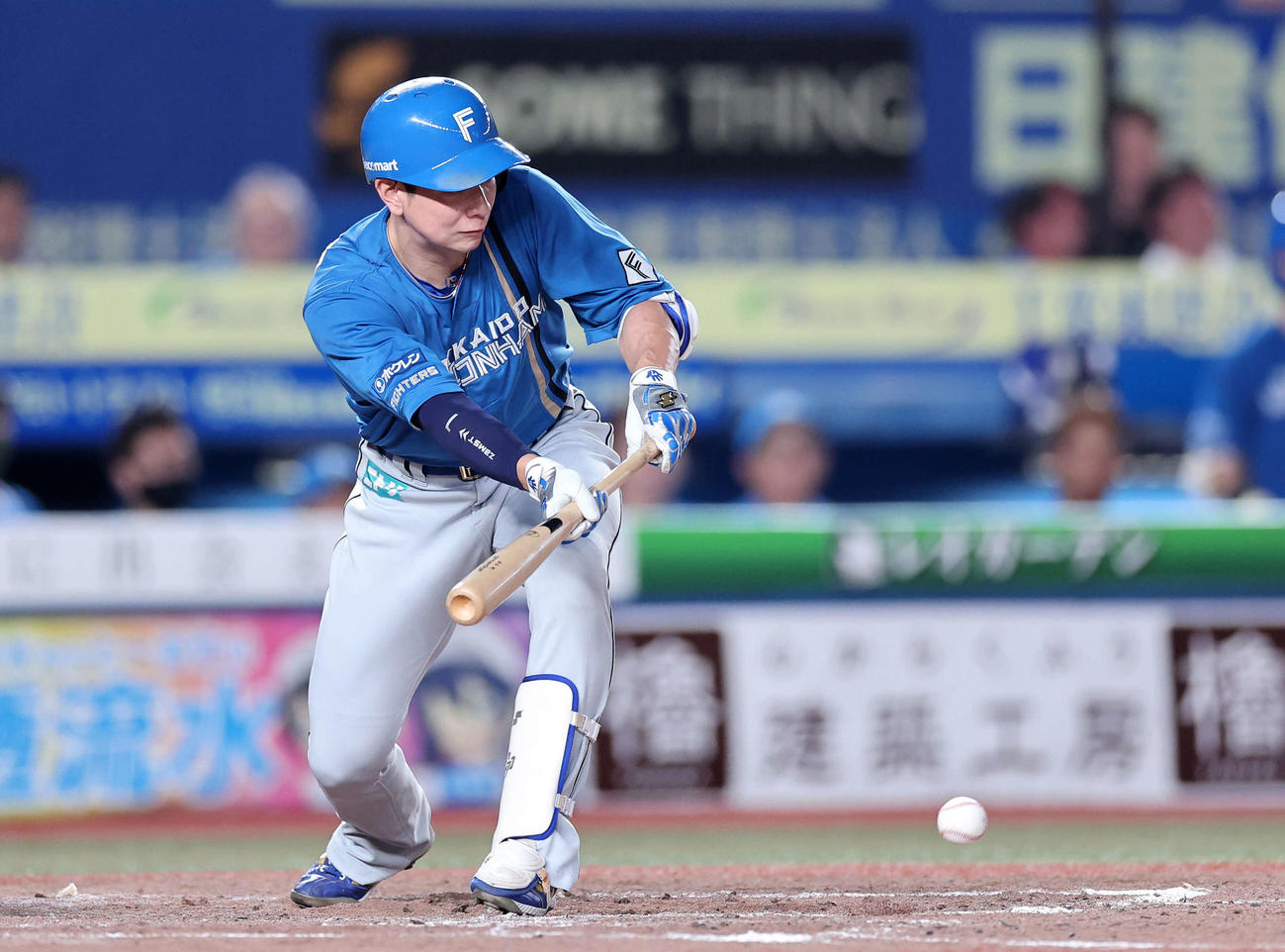 ロッテ対日本ハム　5回表日本ハム無死二塁、松本剛は送りバントを決める（撮影・鈴木正人）