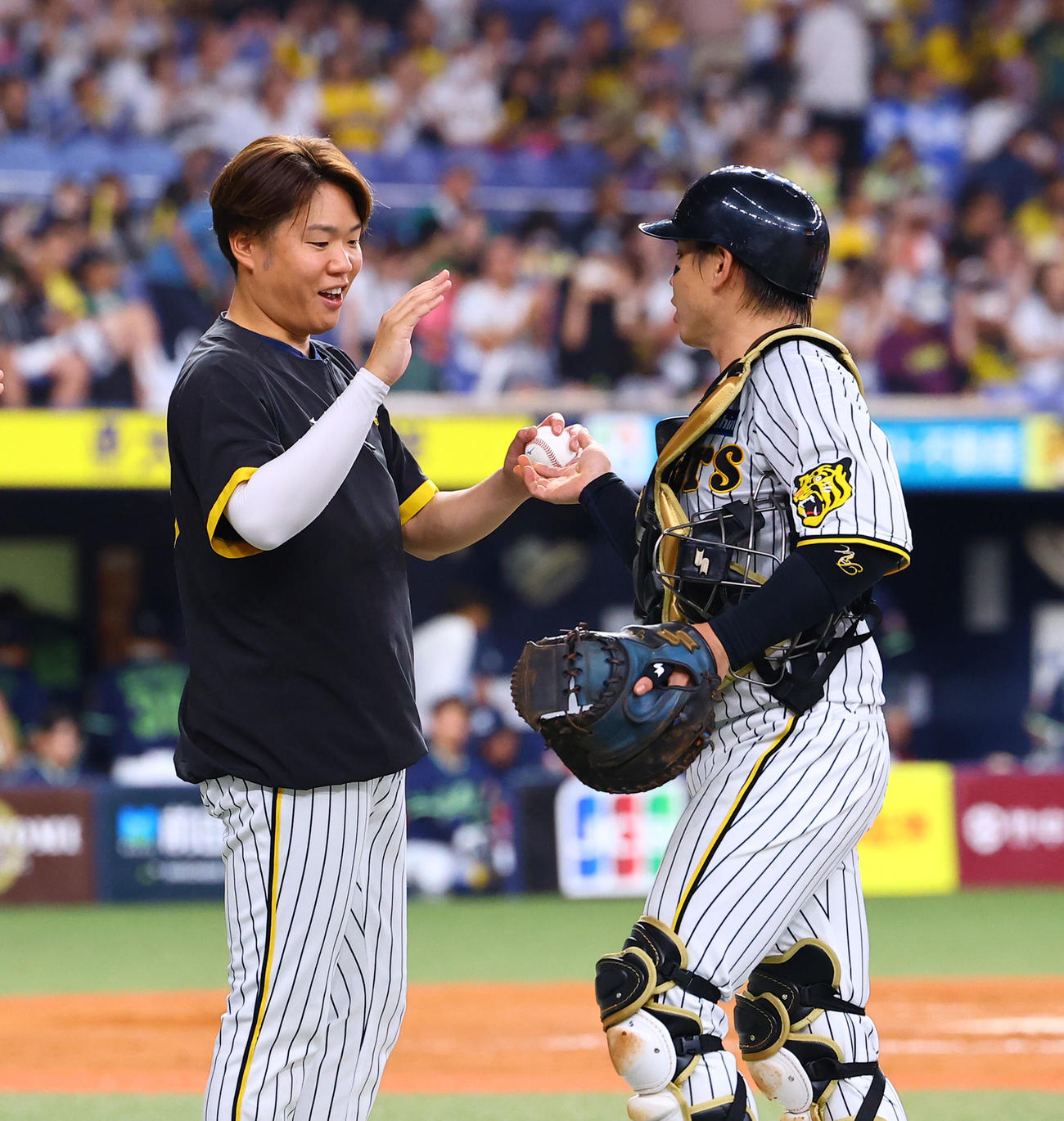 阪神対ヤクルト　勝利を飾り梅野から勝利球を受け取る阪神西勇（撮影・藤尾明華）