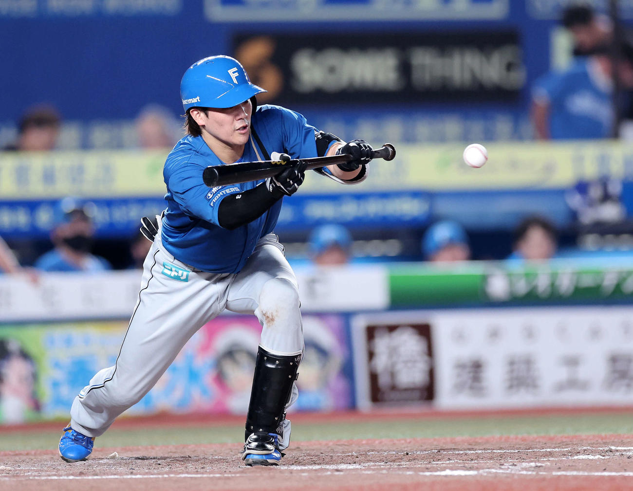 ロッテ対日本ハム　4回表日本ハム1死一塁、伏見は送りバントを決める（撮影・鈴木正人）