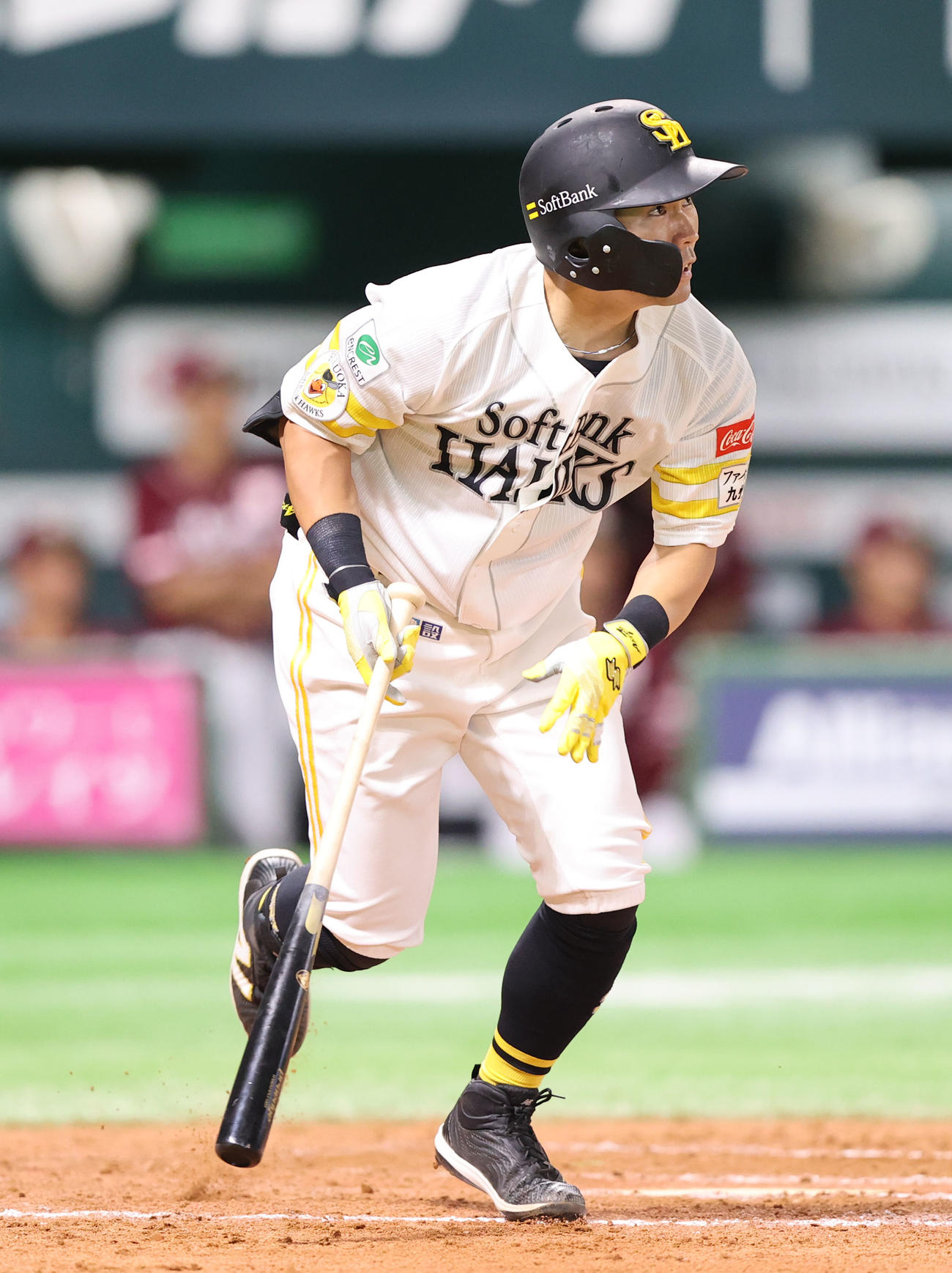 ソフトバンク中村晃（2024年8月10日撮影）