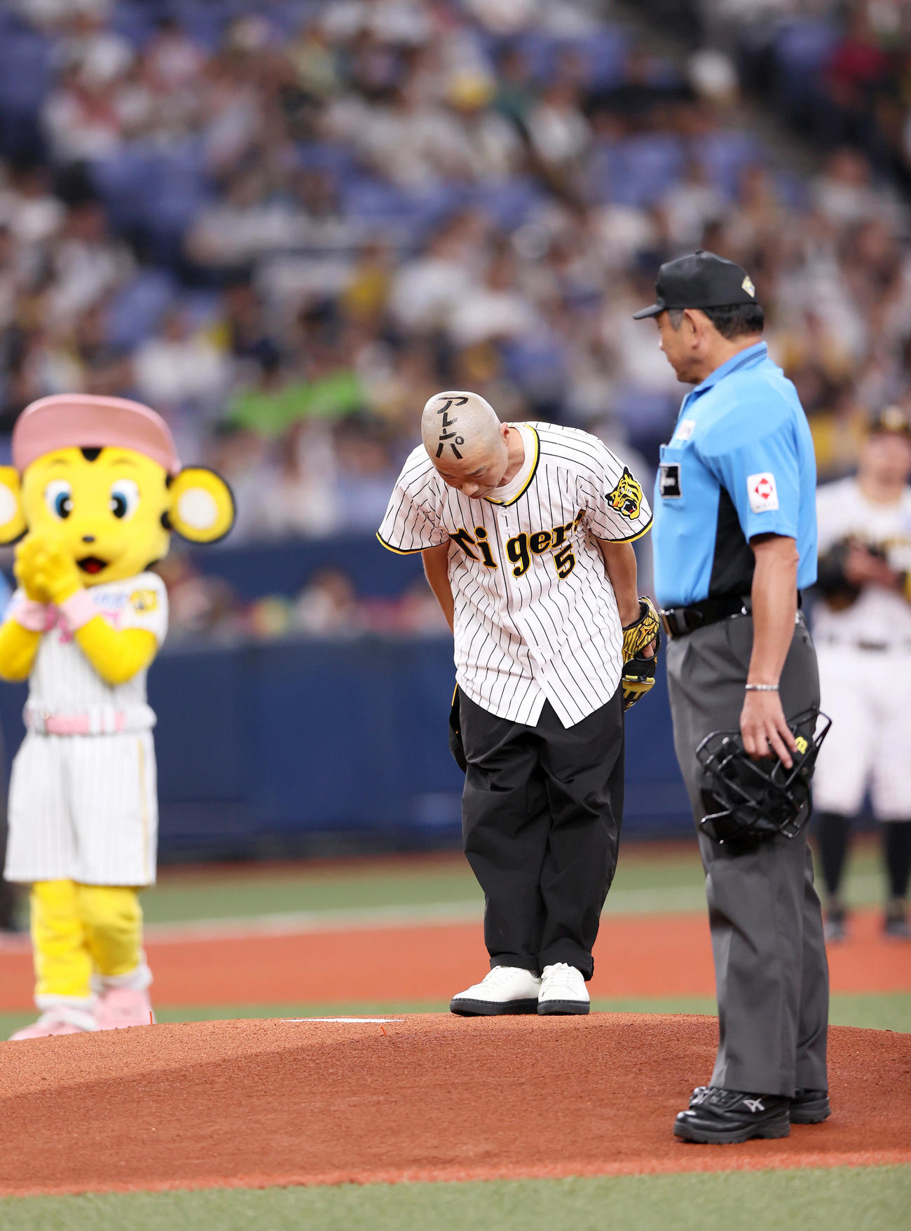 阪神対ヤクルト　始球式に臨む始球式を行うお笑い芸人・アキナの山名（撮影・上山淳一）