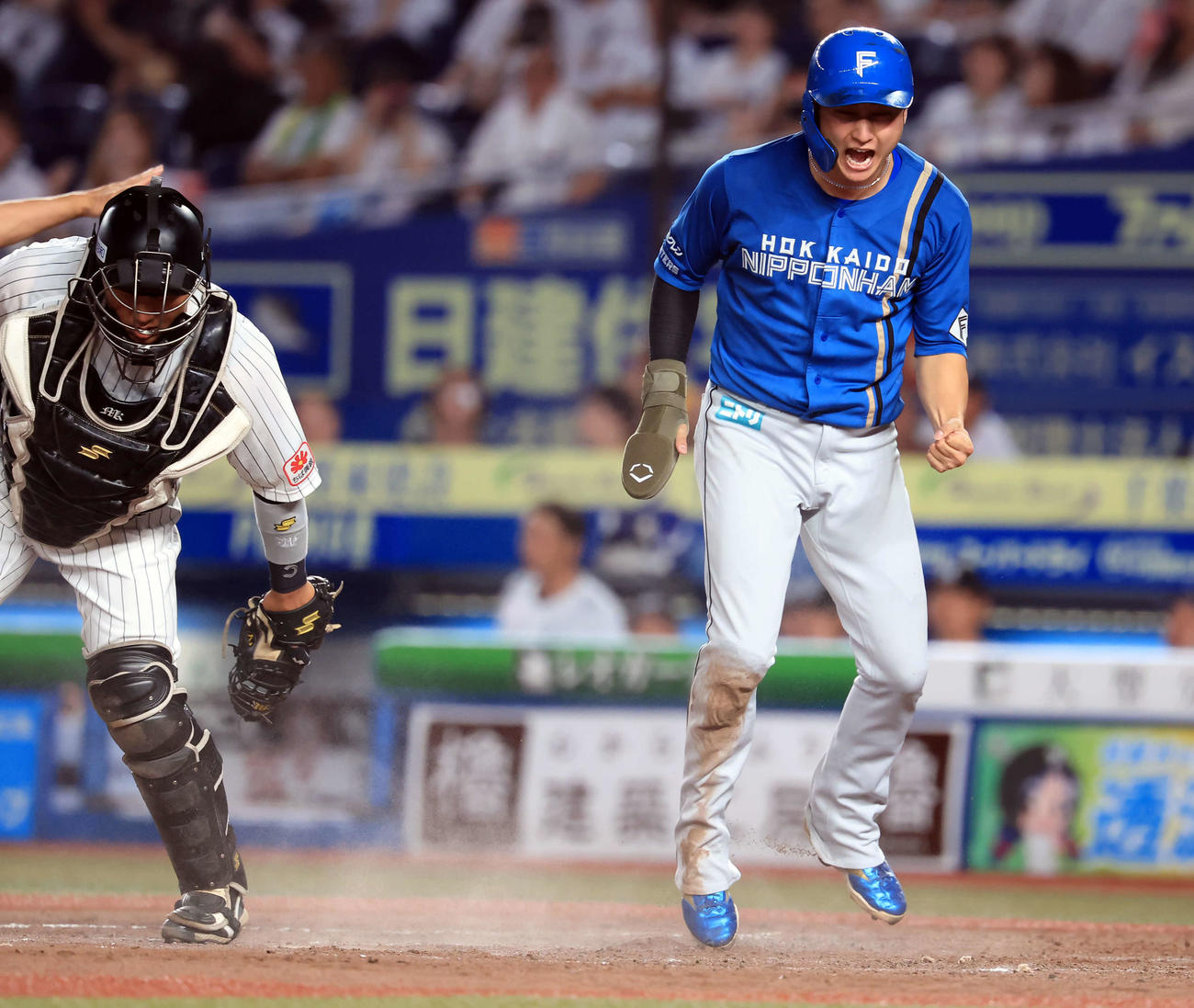 ロッテ対日本ハム　5回表日本ハム無死一塁、清宮の勝ち越し左適時二塁打で生還した浅間（右）は雄たけびを上げる（撮影・浅見桂子）