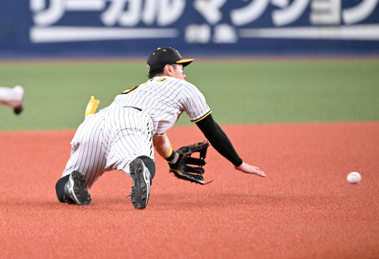 阪神対ヤクルト　3回表ヤクルト2死一、二塁、オスナの打球を好捕する三塁手佐藤輝（撮影・和賀正仁）
