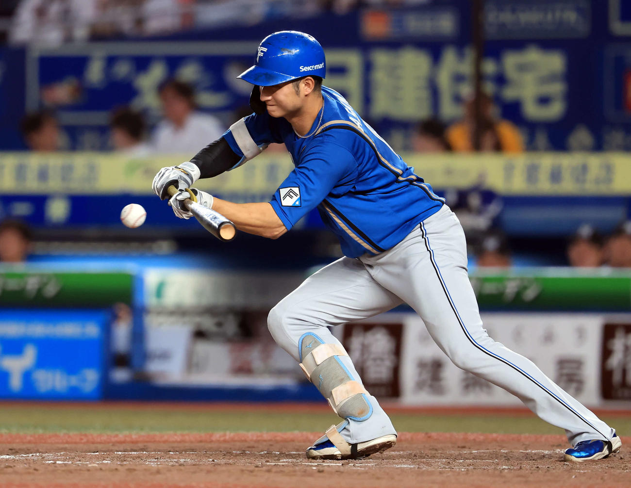 ロッテ対日本ハム　5回表日本ハム無死、浅間はセフティーバントで出塁する（撮影・浅見桂子）