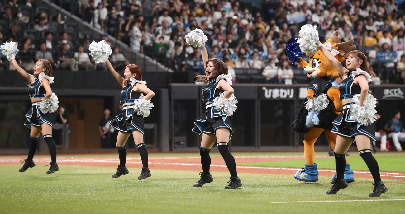 日本ハム対ソフトバンク　ダンスを踊るファイターズガール（撮影・佐藤翔太）