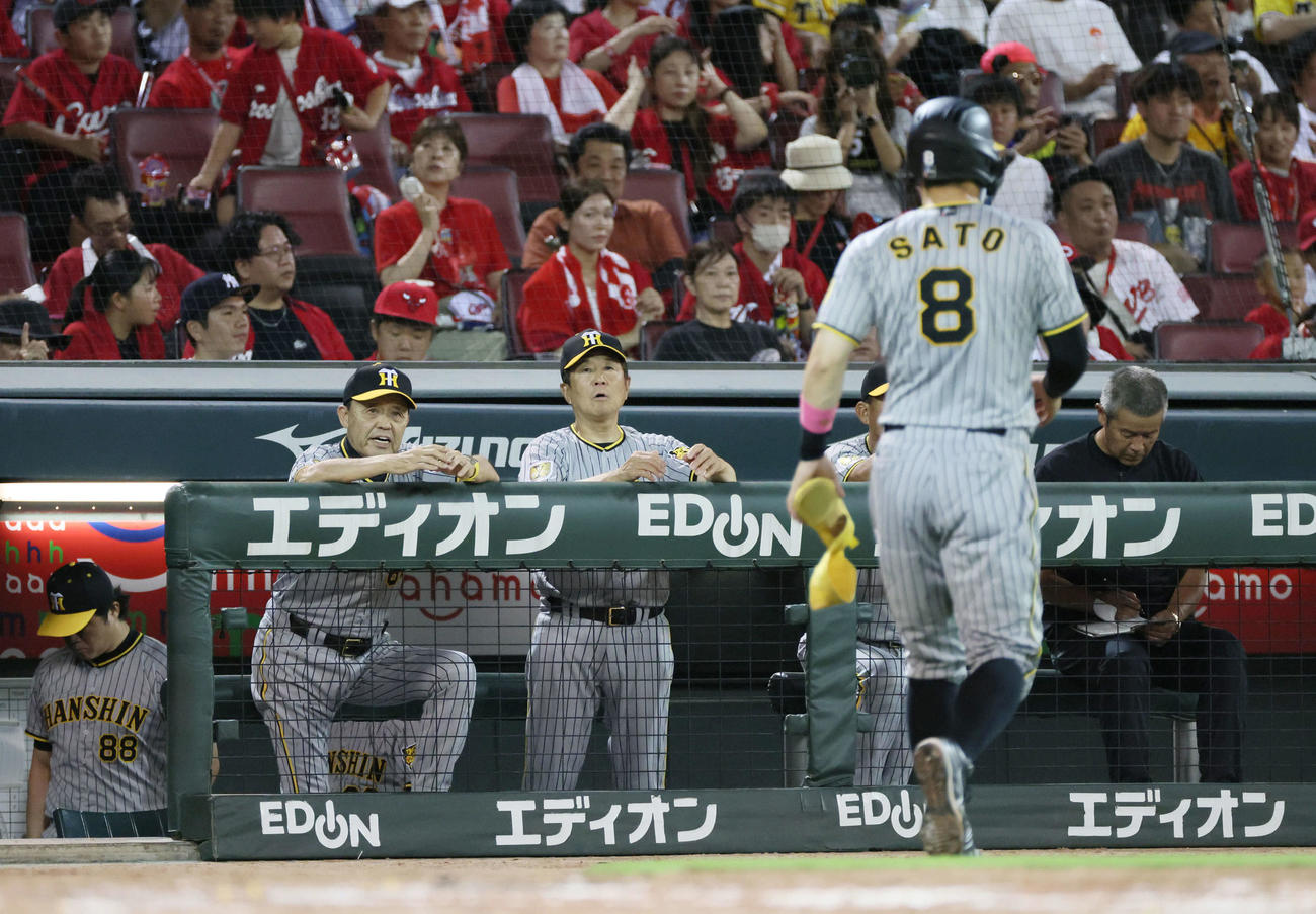 広島対阪神　5回表阪神2死二塁、右越え適時二塁打を放った佐藤輝（右）とベンチの岡田監督（左）（撮影・加藤孝規）