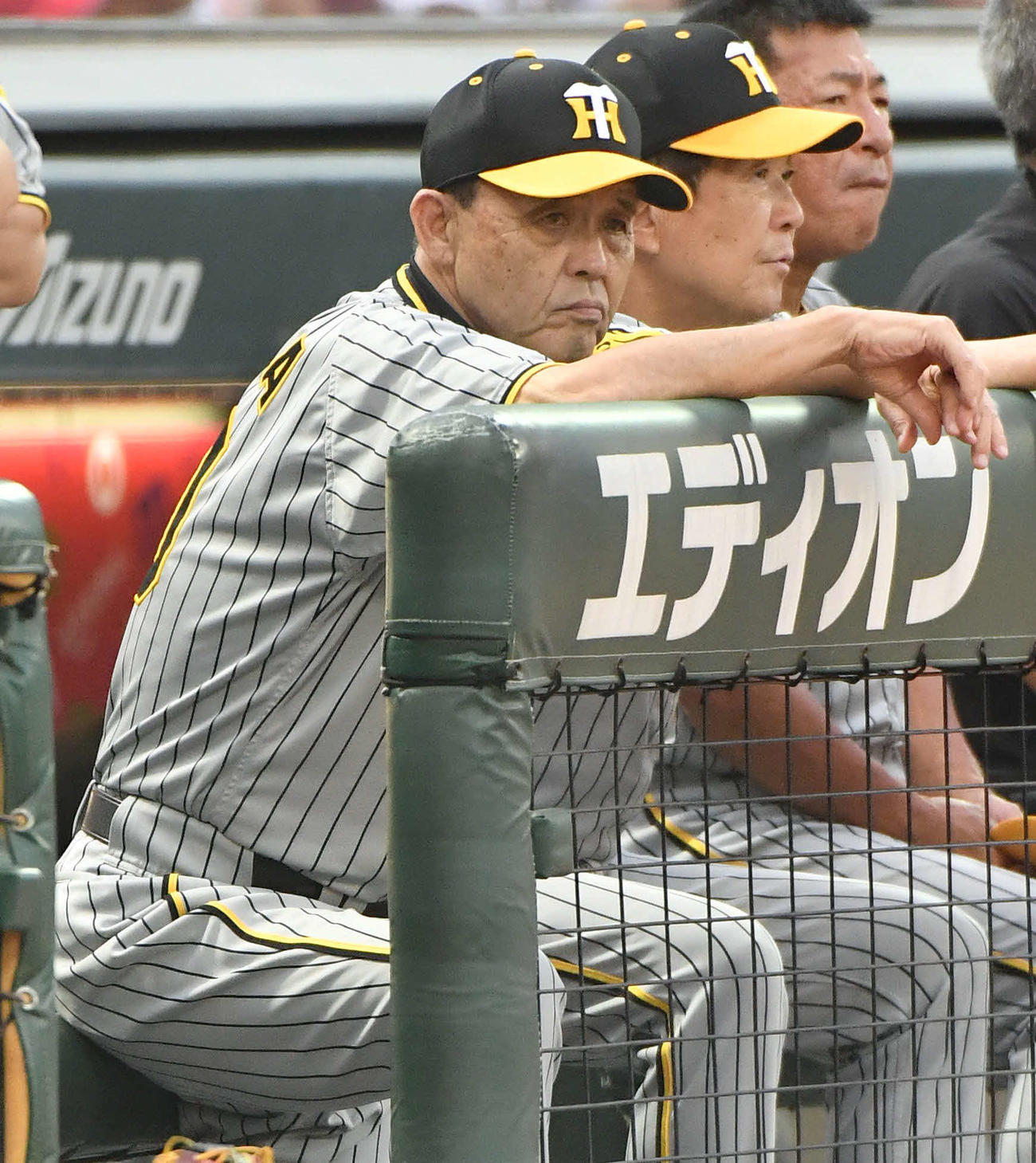 広島対阪神　2回表、ベンチから試合を見つめる岡田監督（撮影・岩下翔太）