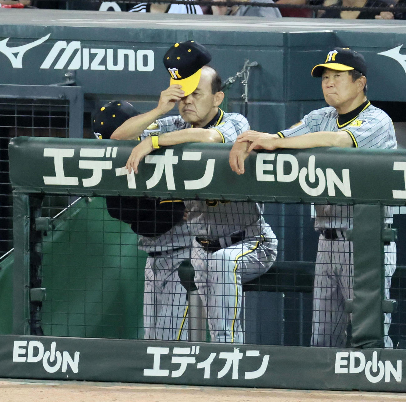 広島対阪神　9回表、ベンチで帽子をかぶり直す岡田監督（撮影・加藤哉）