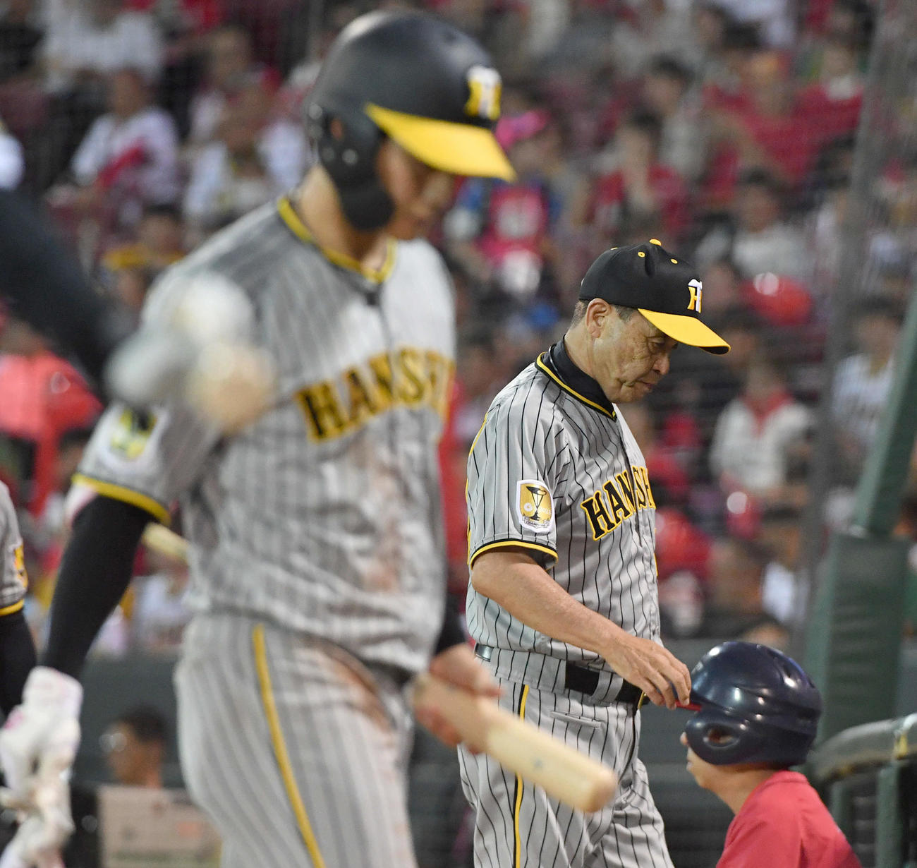 広島対阪神　7回表阪神無死一、二塁、木浪（手前）がスリーバントを試みるも失敗となり、次打者に代打を告げて厳しい表情でベンチへ戻る岡田監督（撮影・岩下翔太）