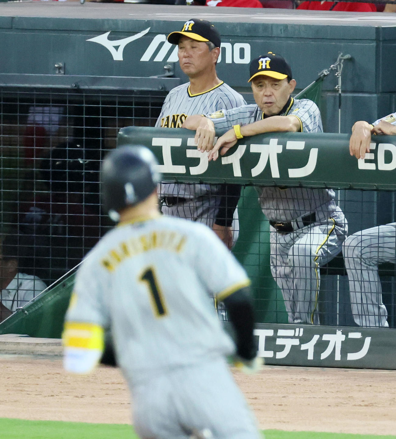 広島対阪神　3回表阪神2死一、二塁、左越え3点本塁打を放った森下（左）をベンチから見る岡田監督（撮影・加藤哉）