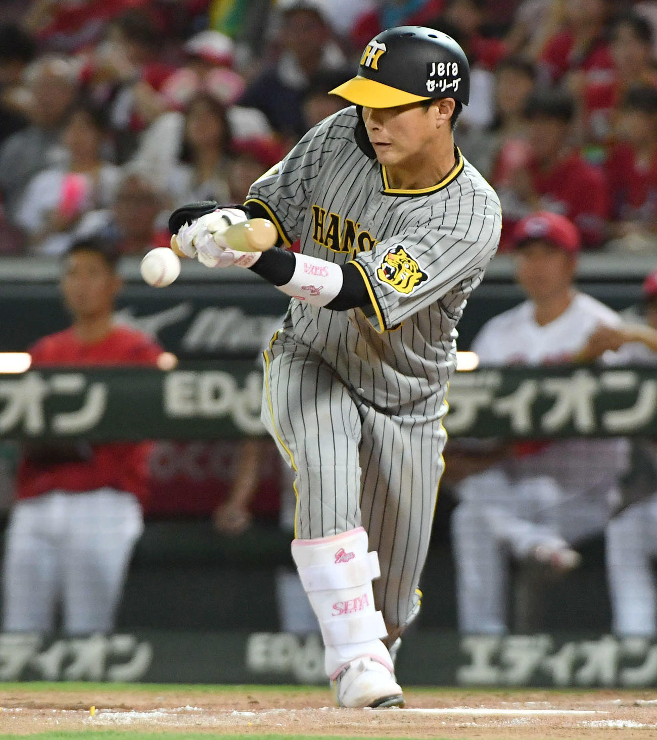 広島対阪神　4回表阪神無死一塁、木浪は投犠打を成功させる（撮影・岩下翔太）
