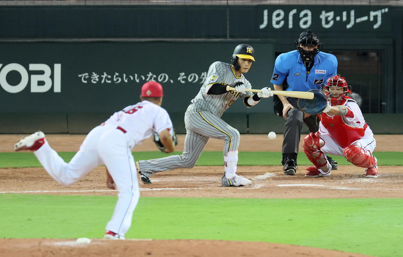 広島対阪神　4回表阪神無死一塁、木浪は投前犠打を決める。投手森（撮影・加藤哉）